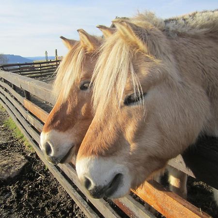 Langedrag Naturpark As Tunhovd Kültér fotó