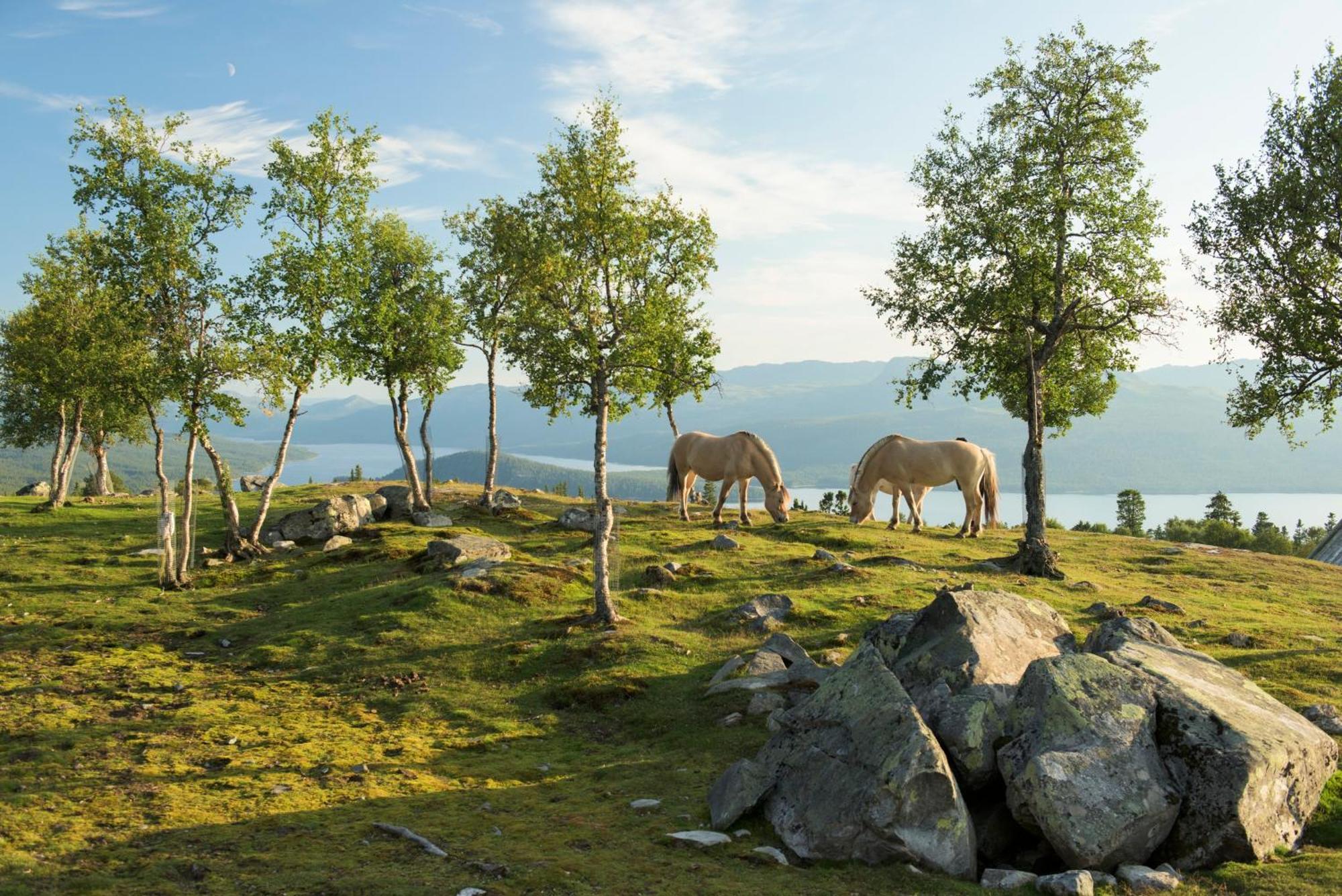 Langedrag Naturpark As Tunhovd Kültér fotó